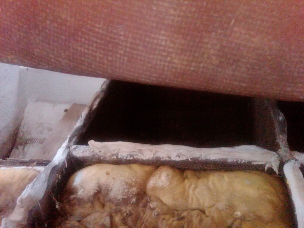 IMG01258-20110304-1742.jpg