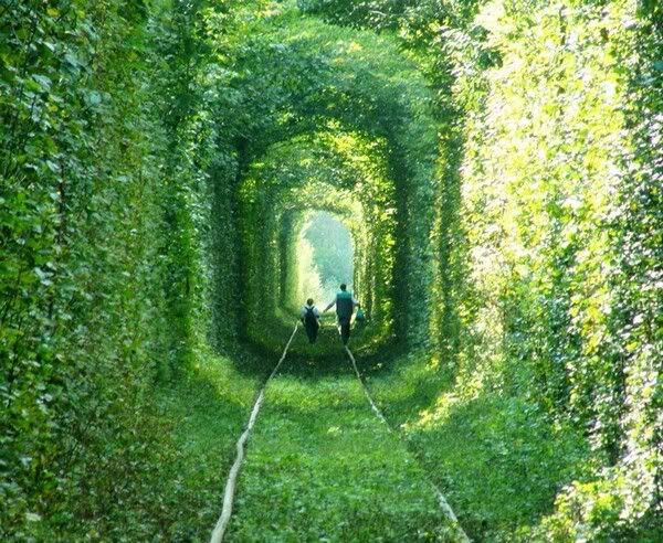 Tunnel-of-Love-Klevan-Ukraine-beautiful-places