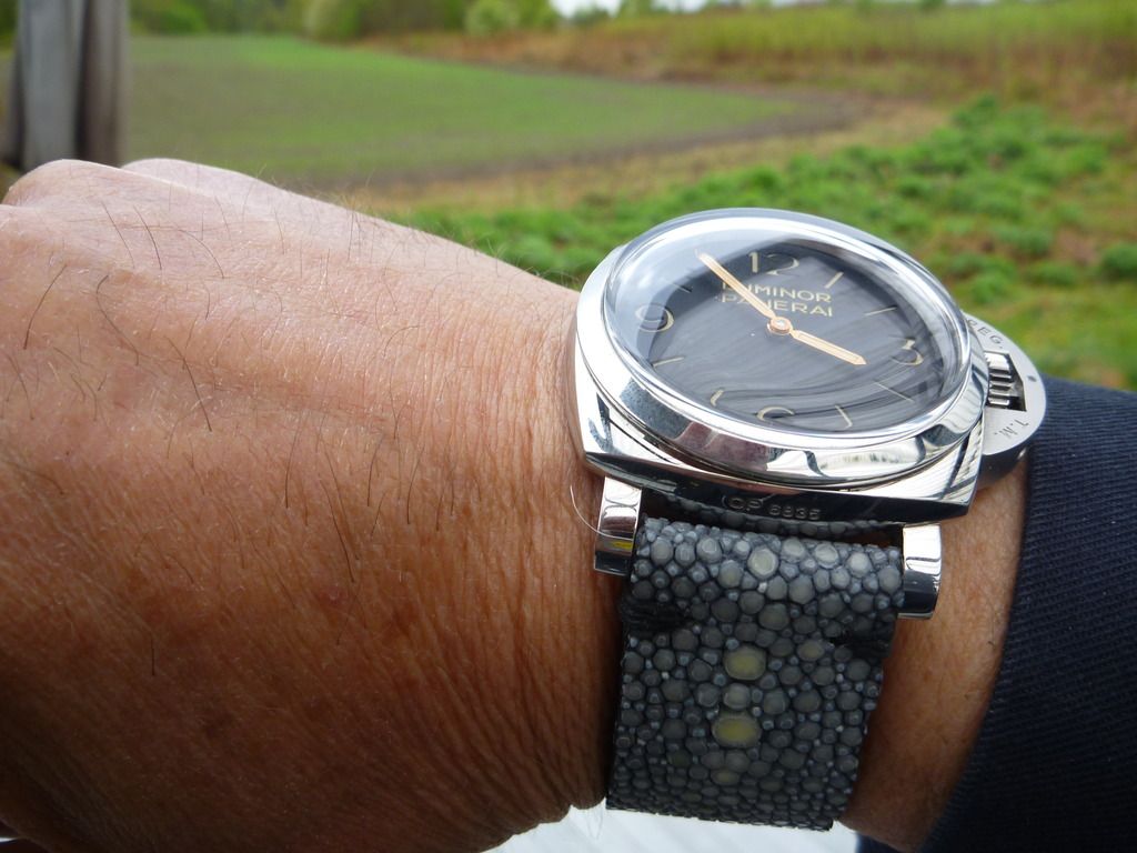 Panerai%20002.jpg