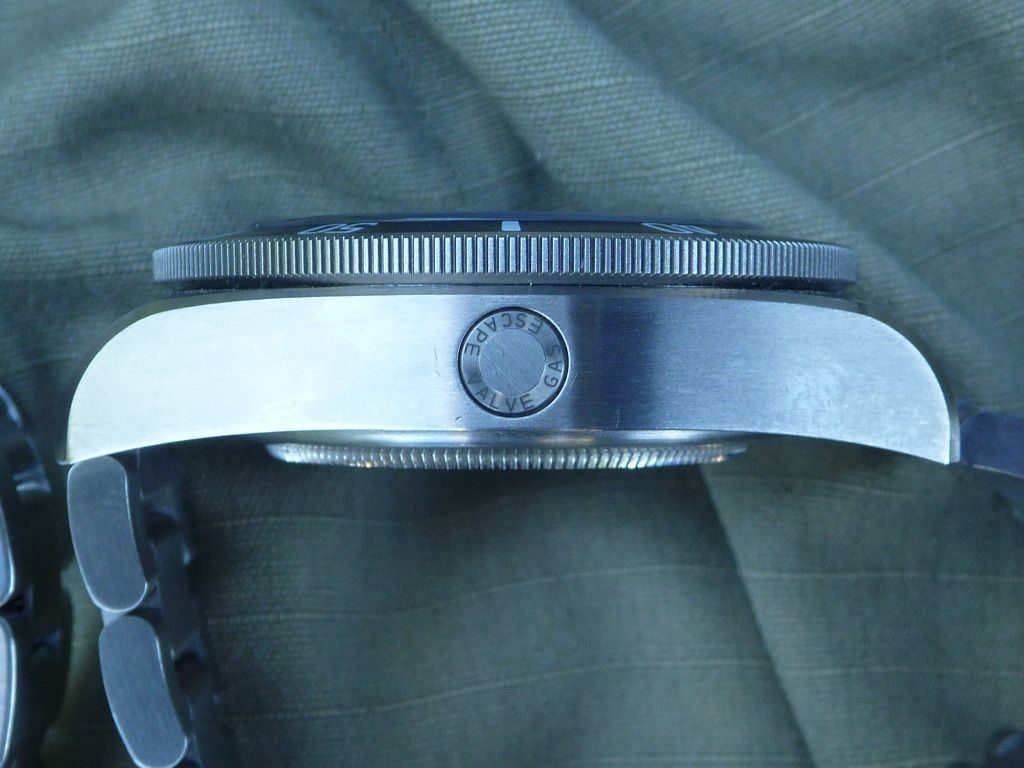 Pelagos8-12006.jpg