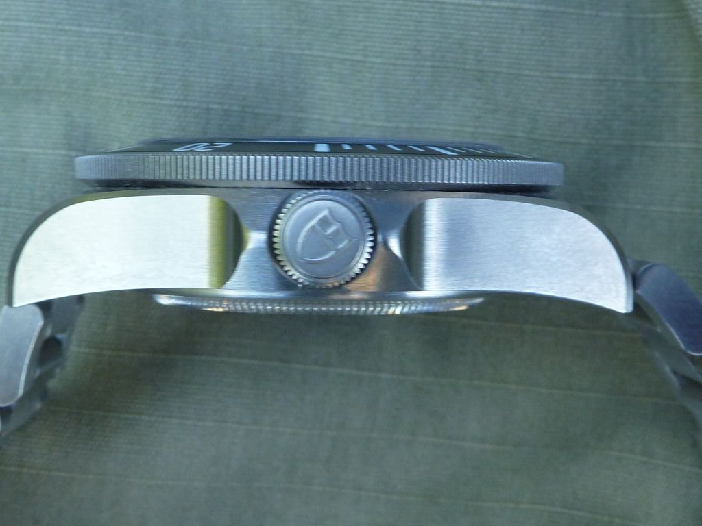 Pelagos8-12009.jpg