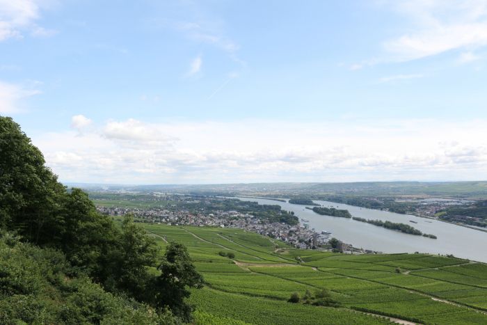 photo 17_Ruumldesheim_zps6f287cad.jpg