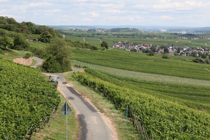 photo 23_Ruumldesheim_zpsb4dd970a.jpg