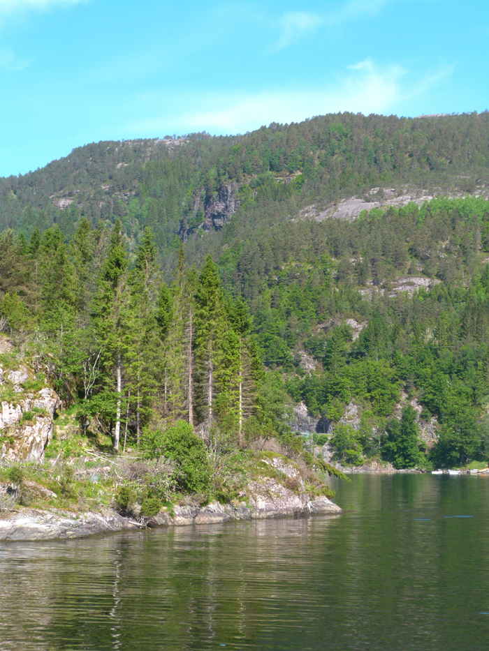 photo 13_Norway Fjord_zpskkqcor1m.png