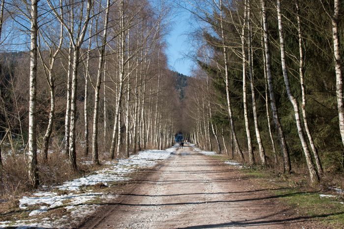 photo 03_Taunus Germany_zpspds1orqf.jpg