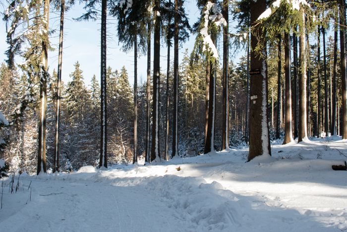 photo 23_Winter landscape germany_zps7dsjtbwm.jpg