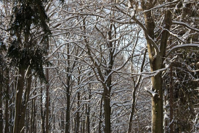 photo 26_Winter Germany Snow_zpsask6ahwl.jpg