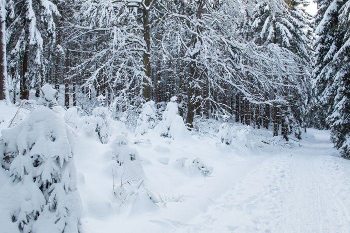 photo 30_Winter Landscape_zpsnyjek37j.jpg