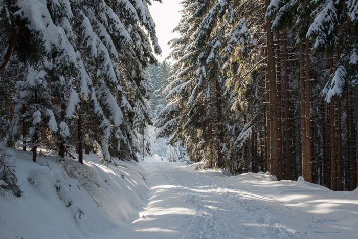 photo 33_Winter Landscape_zpsgitg1r7z.jpg