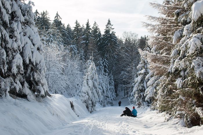 photo 34_Winterlandscape Germany_zpsxrjt7zr1.jpg