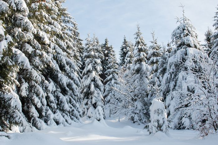 photo 35_Winter Landscape Germany_zpsltu9rn4e.jpg
