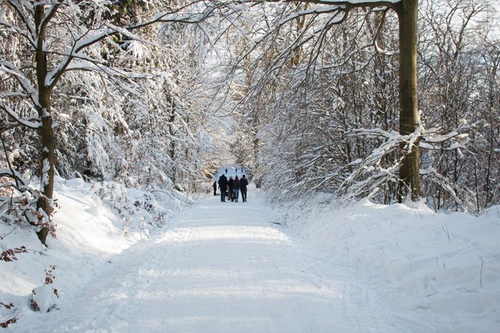 photo 39_Winter_zpscjci0xk2.jpg
