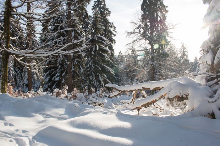 photo 42_Winter Landscape Germany_zpsv4auuvek.jpg