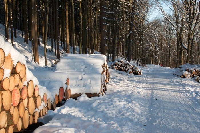 photo 47_Germany Taunus_zpsb6ocqfur.jpg