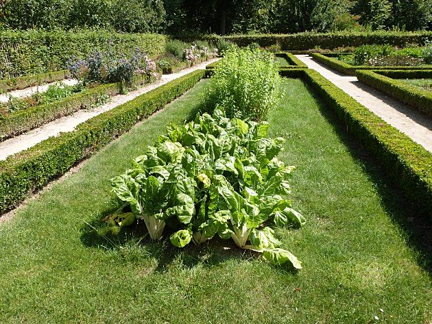 photo 09_VegetableGardensVersailles_zps64be0a37.jpg