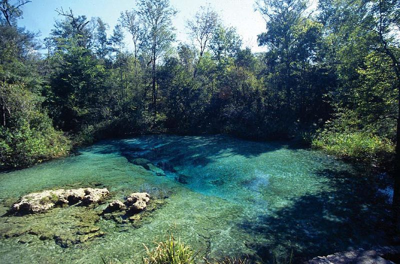  photo FlIchetuckneeSprings_zps595f4a84.jpg