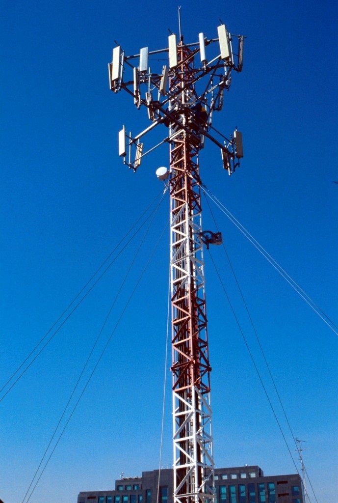 Movil Movil