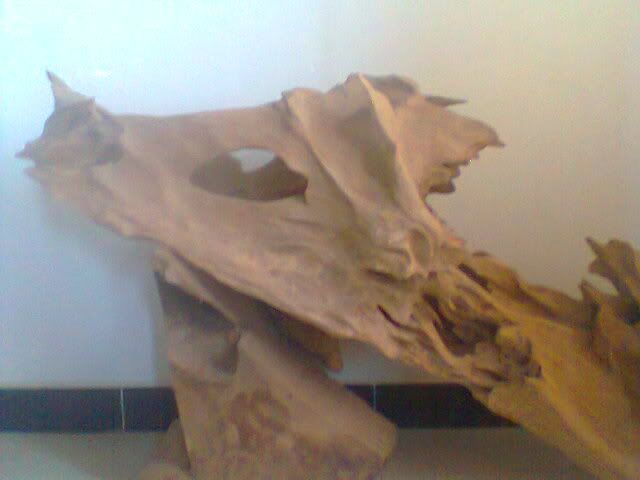 ACE nào rành về gỗ, lũa giúp dùm em với - 1