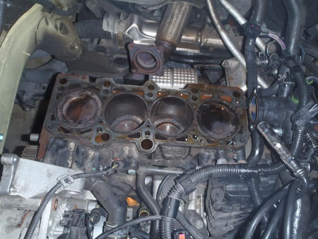 Head gasket fail VW Beetle Forum