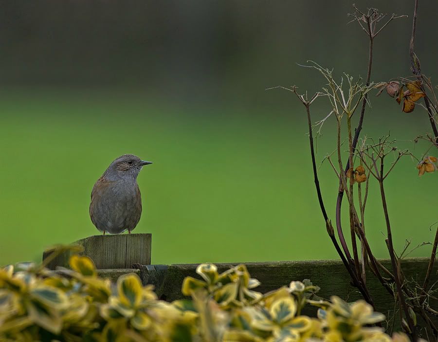 Fotografie