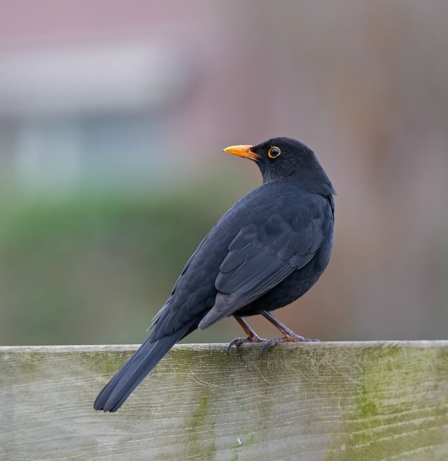 Fotografie