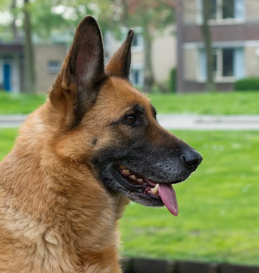 Fotografie