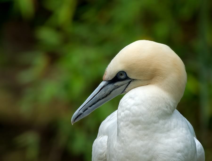 Fotografie