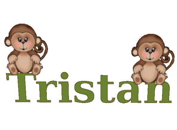  photo name sign - tristan monkey_zpscmpt2re5.png