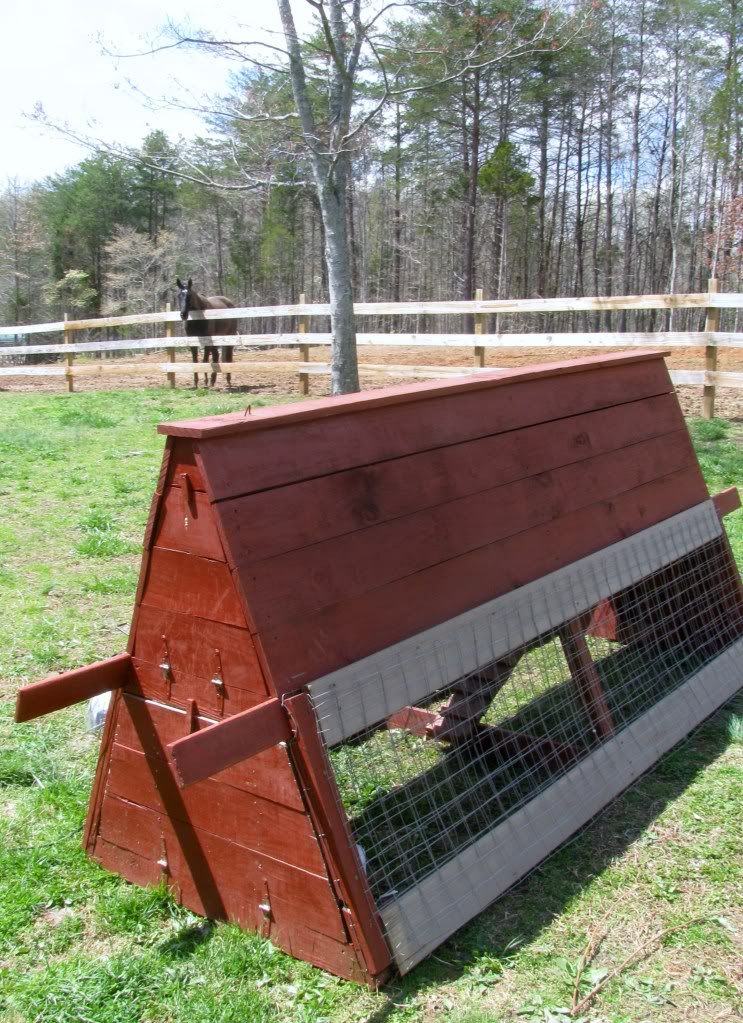 A frame chicken tractor... BackYard Chickens