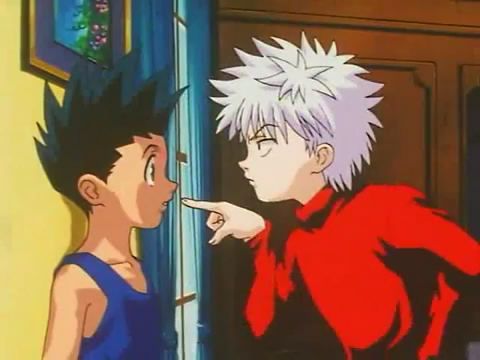 Whats the difference between hunter x hunter 2011 and