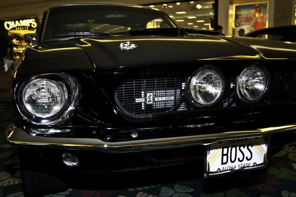 IMAGE: http://i1088.photobucket.com/albums/i337/kipliq/Cars/_MG_7754.jpg