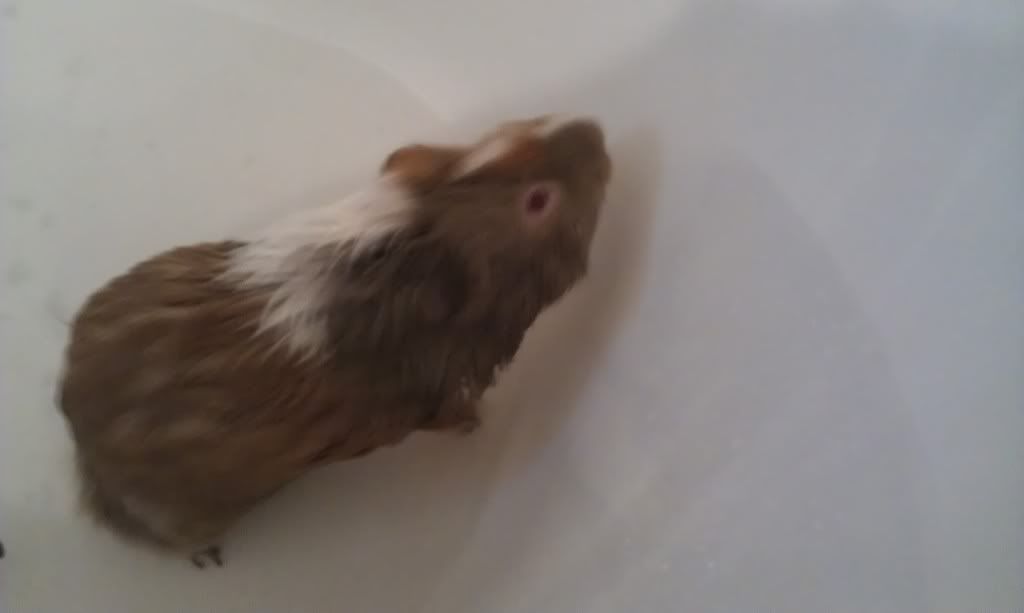 IMAG0136.jpg