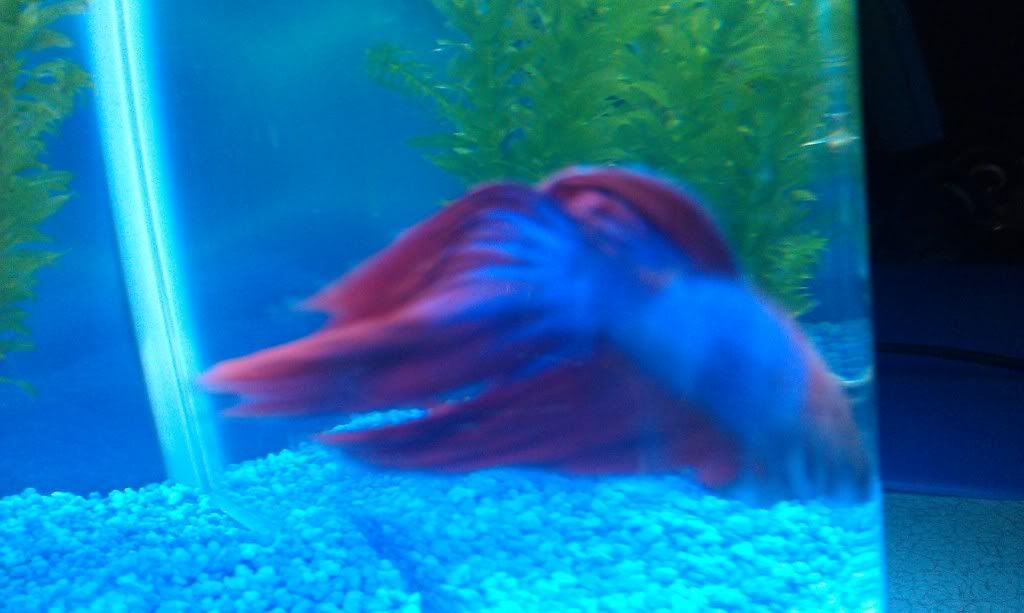 IMAG0151.jpg