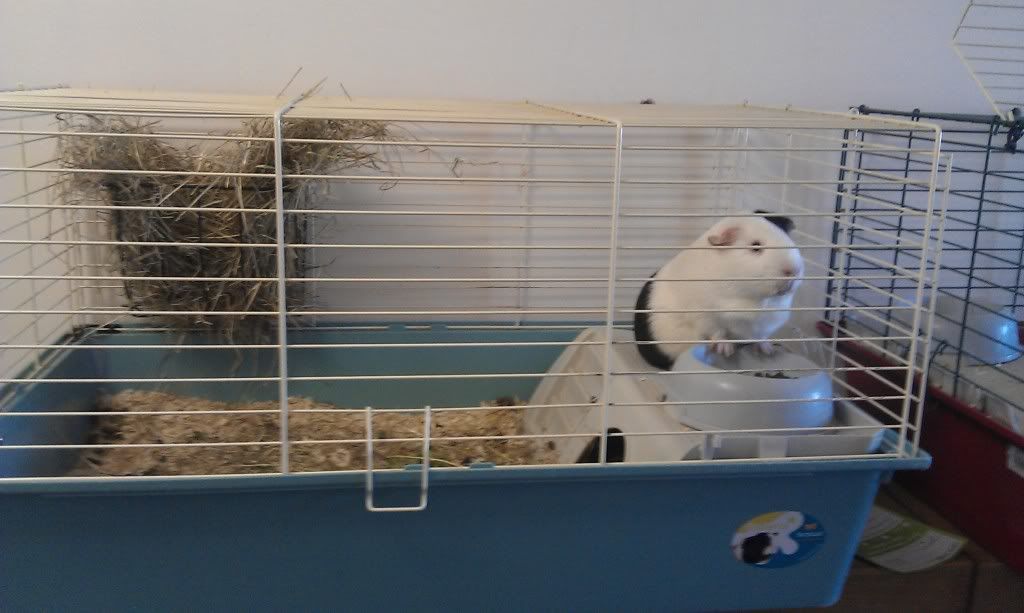 IMAG0207.jpg