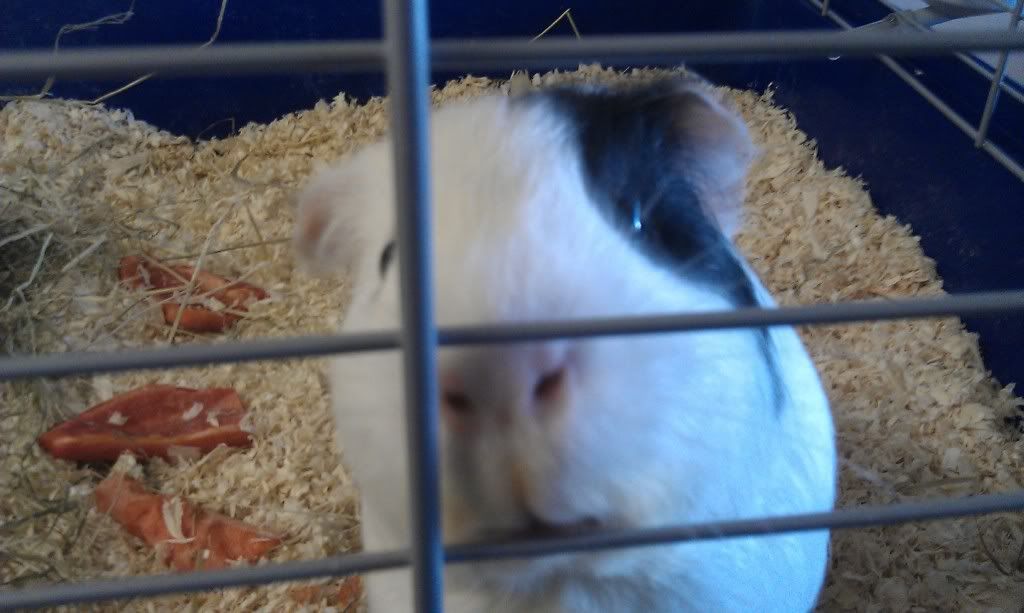 IMAG0217.jpg