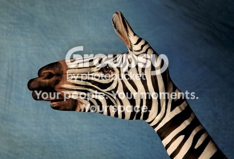 1300554856.jpg
