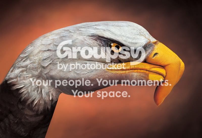 1300554858.jpg