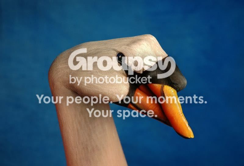 1300554859.jpg