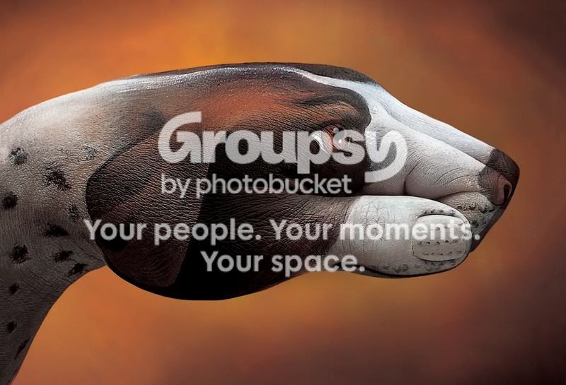 1300554867.jpg