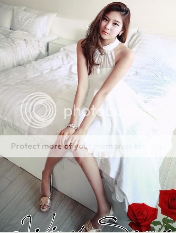 New Womens Korean Sweet Fashion Retro Net Yarn Flounced Skirt Dress E113