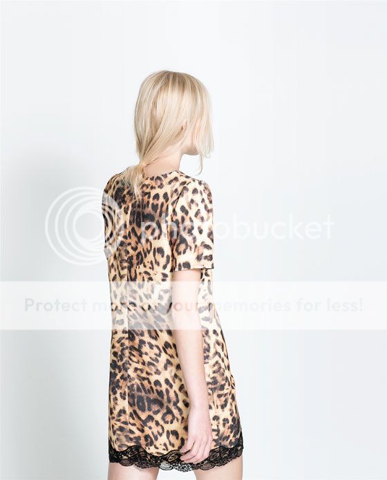 Womens European Fashion Leopard Print Crewneck Short Sleeve Dress B3854