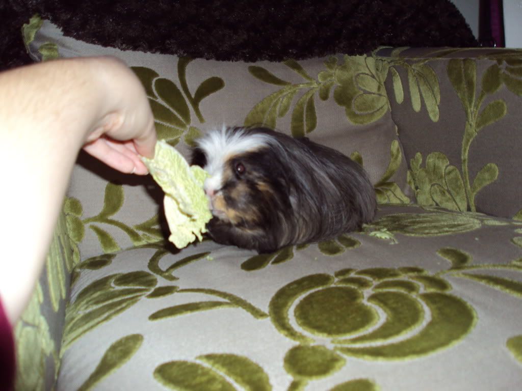 002-3.jpg