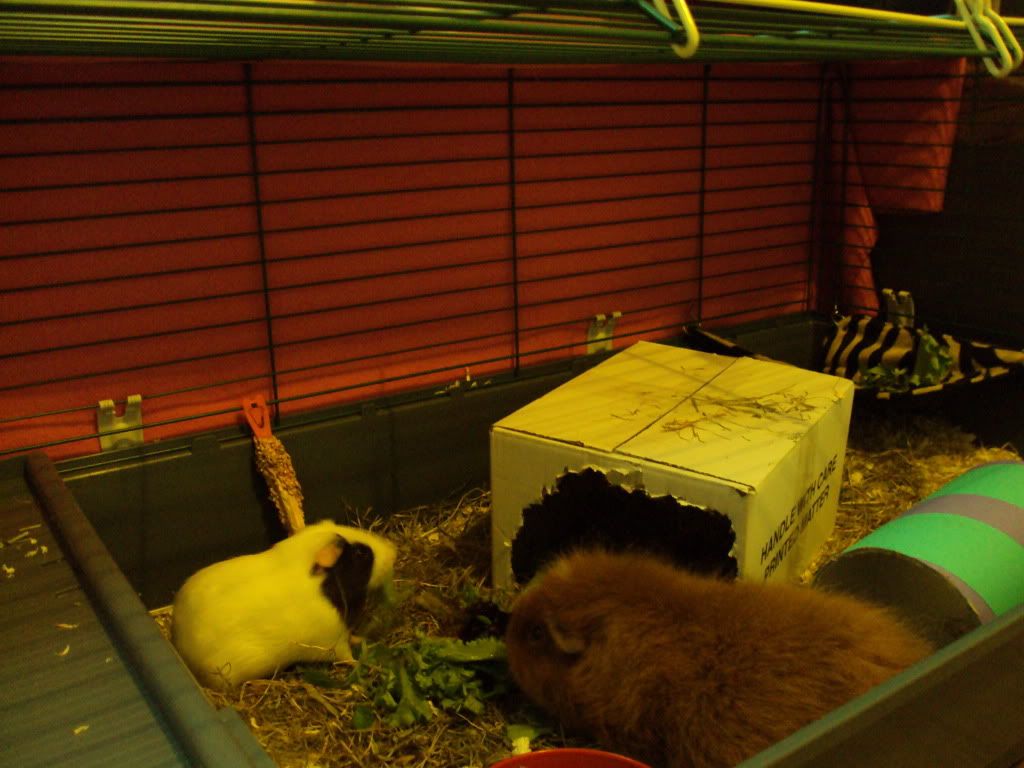 DSC00870.jpg