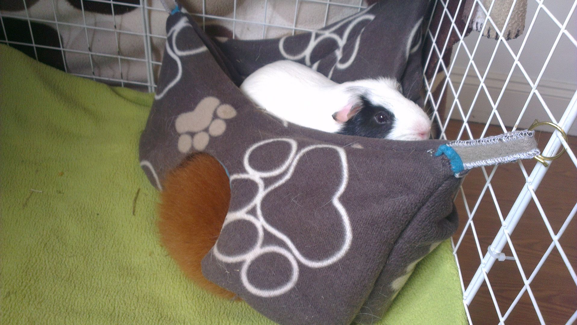 IMAG0292.jpg