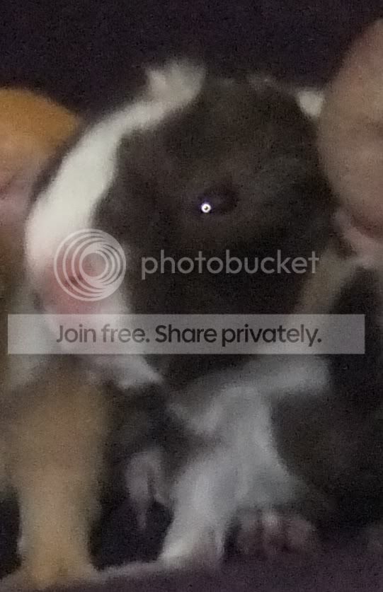 DSCF2748.jpg